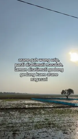 🤭 #indramayu #fypシ゚ #reels #fyppppppppppppppppppppppp 