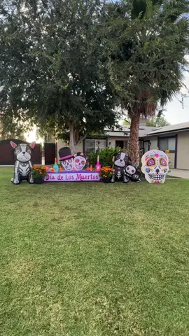 🌼 #diadelosmuertos #diademuertos #tiktokshopsquadup 