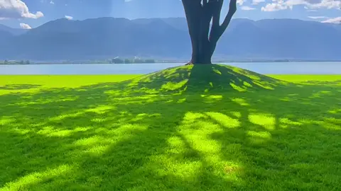 Một buổi chiều chỉ có gió và nước…🍃🌳#xh #xinmotlanxuhuong #canhdep #thiennhien 