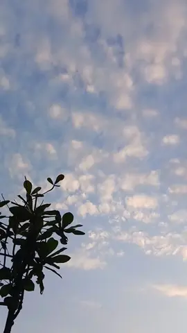 untung suaminya sabar#viraltiktok #fypage #fypシ゚viral #xbcyza 