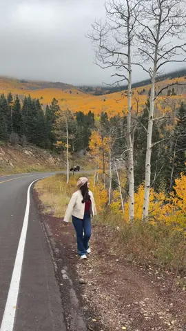 Foliage at Santa Fe #iris #fyp #fallseason🍂 #trend