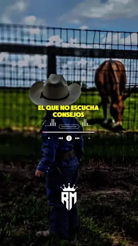 Y si piensas que yo he fracasado no cometas los mismos errores #regionalmexicano #parati #musica #viral #fyp 