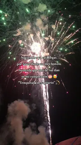 #cumpleaños #noviembre #sagitario #Love #fyp 