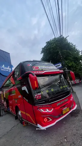 jelek @Official Albino 005 #4u #4upage #fypage #sanjayatransalbino #cinematicbus 