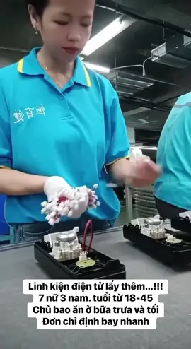 Đơn hàng điện tử 🇹🇼#xklddailoan 