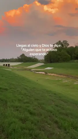 Mi Calita❤️ #perritos #reencuentro #fyp 