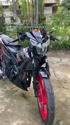 Grabe ang mura pala dito sa tiktok ko HAHAHA #raider150fi #radiatorcover #fullcarbon 