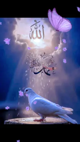 #fypシ゚ #صباح_الخير 