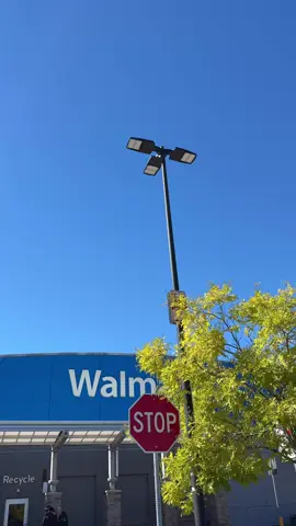 Clean ingredient fall must have at Walmart #organic #crunchymom 