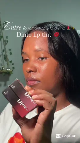 Entre lo romántico y lo divino 💄✨ Dinto 219 Ave Maria & 203 Divinitas — mis nuevos favoritos por su textura ligera y ese acabado blur que enamora 💋 #dinto #kbeauty #lipgloss@Dinto Cosmetics 
