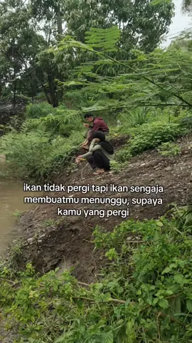 inpo dong ketua !! 🎣 . #storymancing #mancing #ladyangler #mancingliar #infospotmancing 