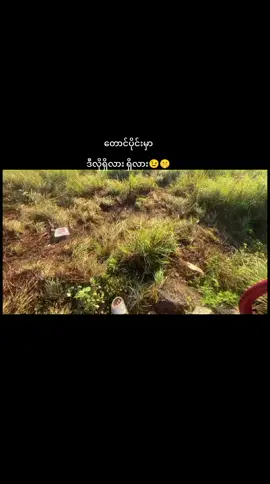 နှစ်စဉ်နှစ်တိုင်းရောက်ဖြစ်တဲ့တောင်လေး အခု‌တော့လူသိများလာပီ☺️#နမ့်ခိုက်သား🤪 #腊戌 #လားရှိုးတိမ်ပင်လယ် 