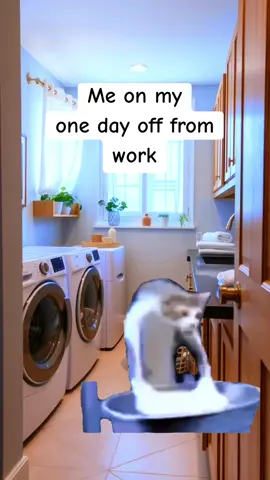 Me on my one day off.. #repost #worklife #memestiktok  #catlovers #memesdaily 
