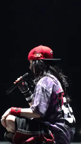 Wtpo loop Miami N2 #billieeilish #billieeilishconcert #hmhastour #hitmehardandsofttour #fyp 