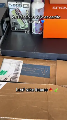 Se acerca el otoño, deja de rastrillar el patio🍁🍂#lawn #lawntok #grasstok #rakeitup #leaves 