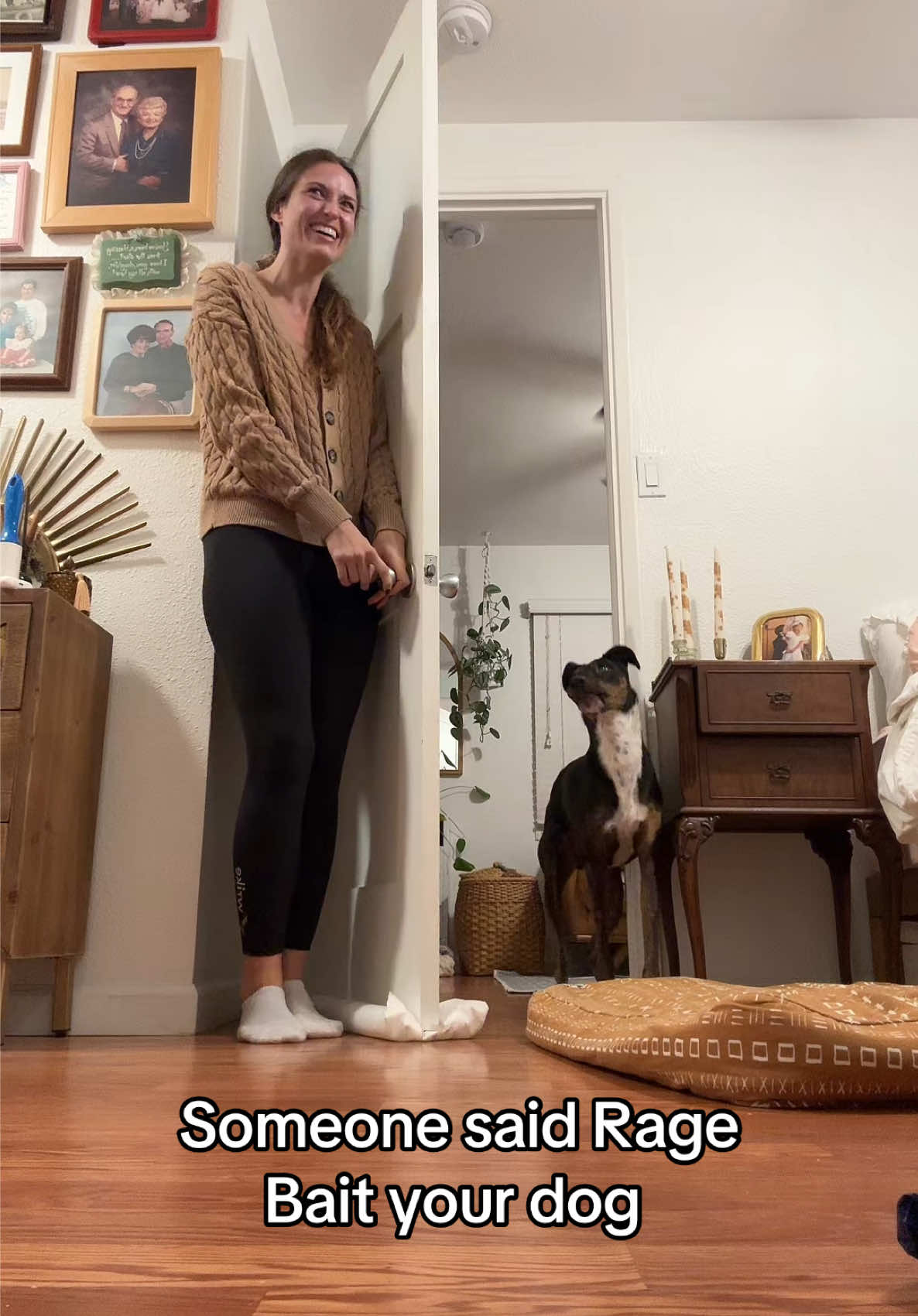 Is this what rage baiting your dog looks like? #ragebaiter #dogsoftiktok