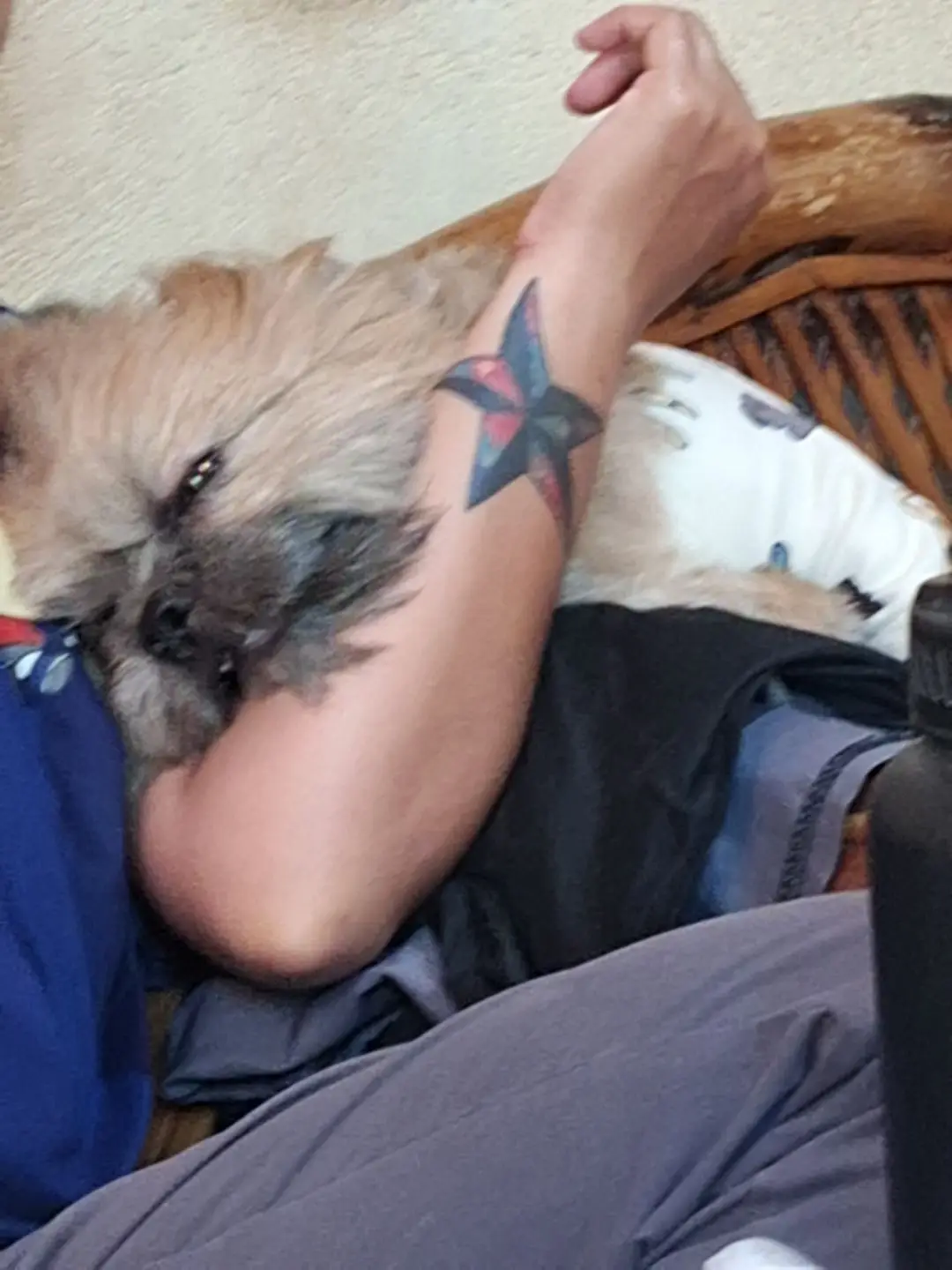 papa baby ang batuta