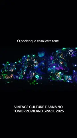 Eu gosto de quem tem fé no universo #tomorrowlandbrasil #tomorrowland2025 #vintageculture #djanna #tomorrowland 