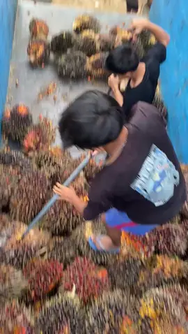 pap paler dong yang😅😅