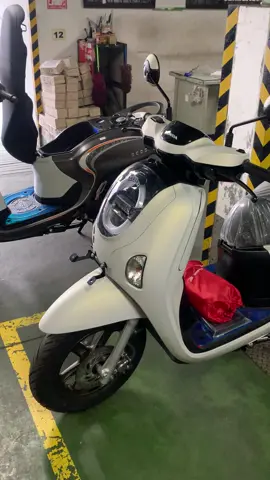 Idaman ciwi” 😍😍😍  #scoopy #mpmmotorkepanjen #fyp #fyppppppppppppppppppppppp #promohondamalang 