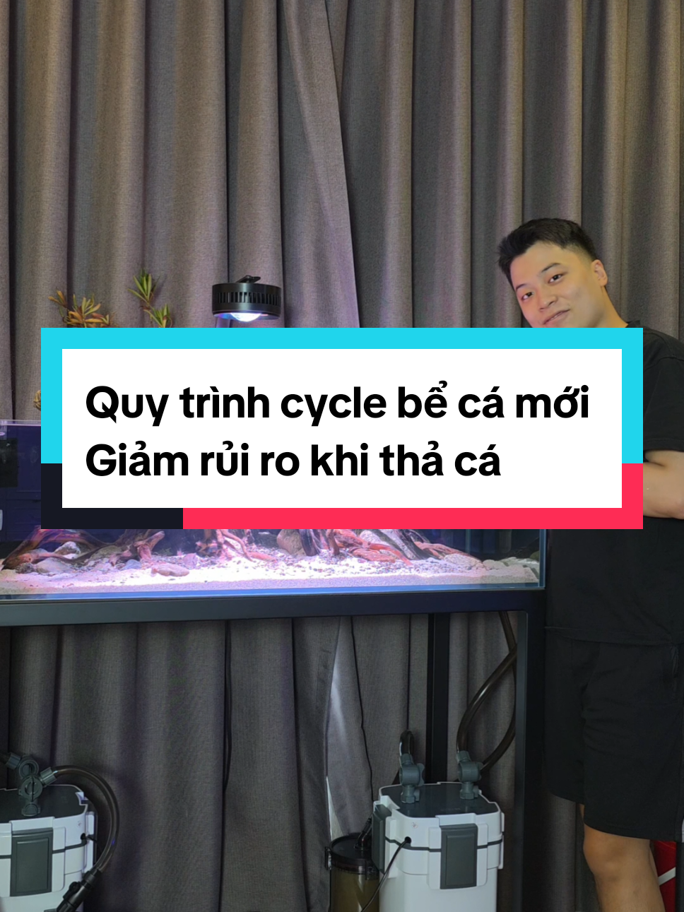 Cách cycle bể cá mới mình hay sử dụng #bểcáthuỷsinh #bểcácảnh #haitapchoica #setupbeca #cyclebểcá 
