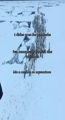 Marlon and me fooled the internet😂#fypシ゚ #viral #wockst★rz #meme #marlon 