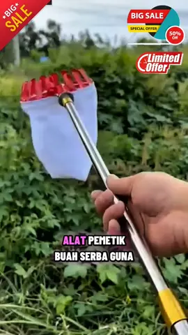 🍎✨ Panen buah tanpa susah payah! Cukup jangkau, petik, dan kumpulkan buah segar tanpa harus manjat pohon 🌳 Alat pemetik buah ini bikin panen jadi cepat, aman, dan menyenangkan 😍 #alatpemetikbuah #petikbuahmudah #peralatankebun #fyp  #creatorsearchinsights 