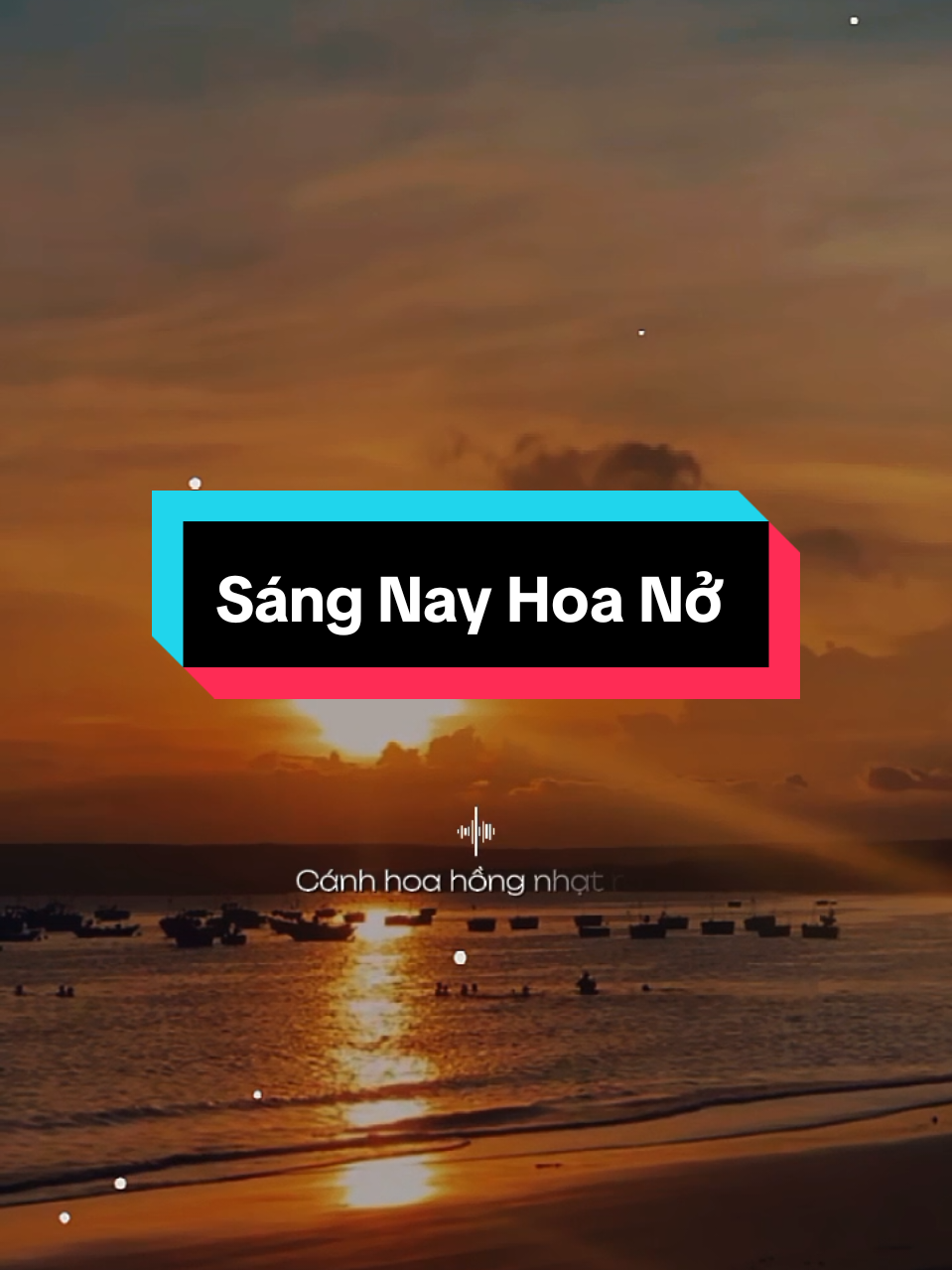 Ơi à ơi... Sáng nay nở đóa Tường Vi....... #sangnayhoano  #nhactamtrang  #tamtrang  #maucapcut  #sadbuon1987 