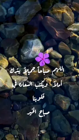 صباح الخير 🍃 
