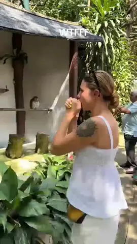 #viral #humor #viral_video #jajajaja 