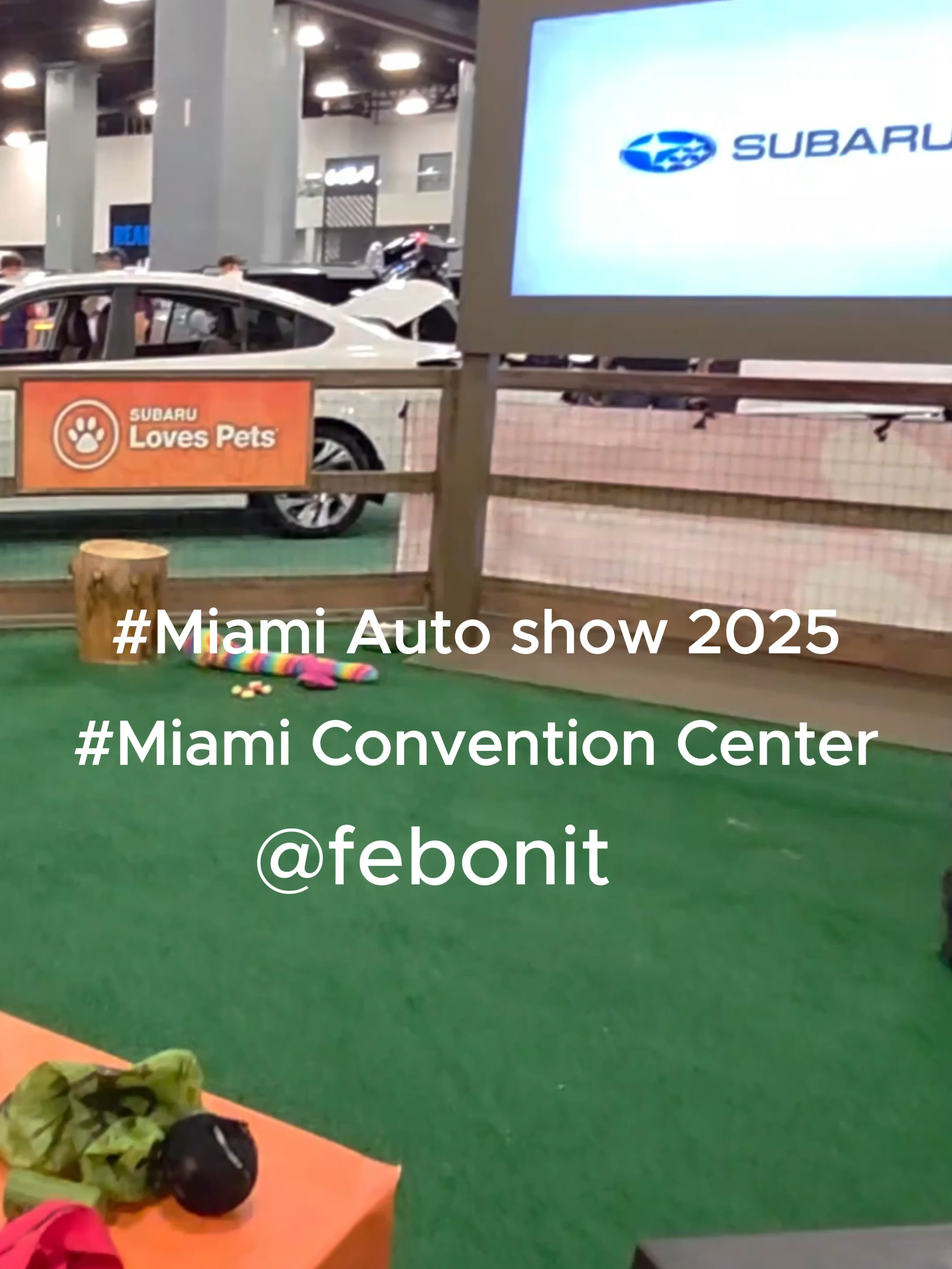 Auto Show 2025 Miami ESPAÑOL: 