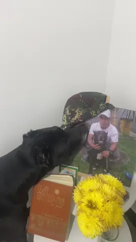 Este momento me partió mi 💔😔te etrañamos más que nunca esposo mío 🪽🥺