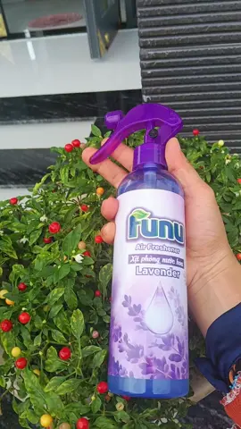 xịt phòng funu hương nước hoa hương thơm quyến rũ sang trọng #xitphong #xitphongfunu #xitthomphong 