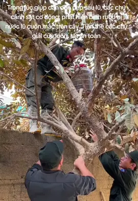 Trong lúc giúp dân dọn dẹp sau lũ, các chú cảnh sát cơ động  phát hiện bình rượu bị nước lũ cuốn mắc trên cây. Tiện thể các chú giải cứu luôn, rất an toàn #xuhuongtiktok  #vietnamtoiyeu  #xuhuong  #gndvietnam 