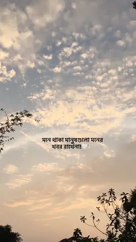 মনে থাকা মানুষগুলো মনের খবর রাখেনা!🤍🕊#fyppppppppppppppppppppppp #Fahim 
