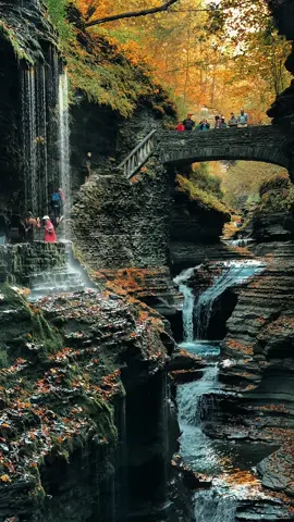 Under autumn’s spell✨🍁🍂#Watkins Glen #UpstateNewYork #Autumn #Fallfoliage