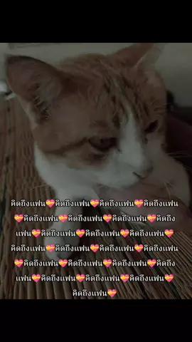 คิดถึง@ดอลอินเลิฟ💫 