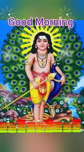 🌹🙏🙏🙏🙏🌹@umanair444 