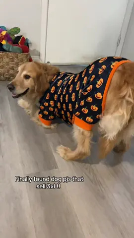 Get them before they sell out!! @KYEESE WEAR #fyp #foryoupage #dogclothes #halloween #pjs 