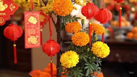 Xuân Xuân Ơi Xuân Đã Về 🧧🌼🌸#tet #tet2026 #tetnguyendan2026🧧🎆🧨 #muaxuan #viral 