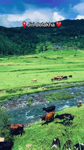 #jiri #dolakha 💐💐❤️‍🔥❤️‍🔥🌸🌸
