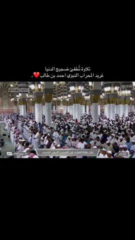 سكينة ما بعدها سكينة #احمد_بن_طالب #تلاوة #قران #راحة #خشوع 