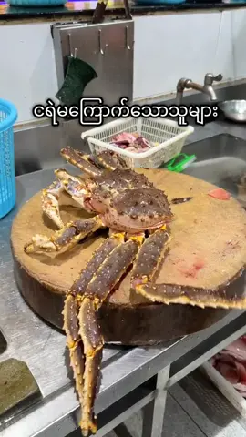 #ကိုယ်ချင်းစာတတ်ကြပါစေ🙏 🙏🙏