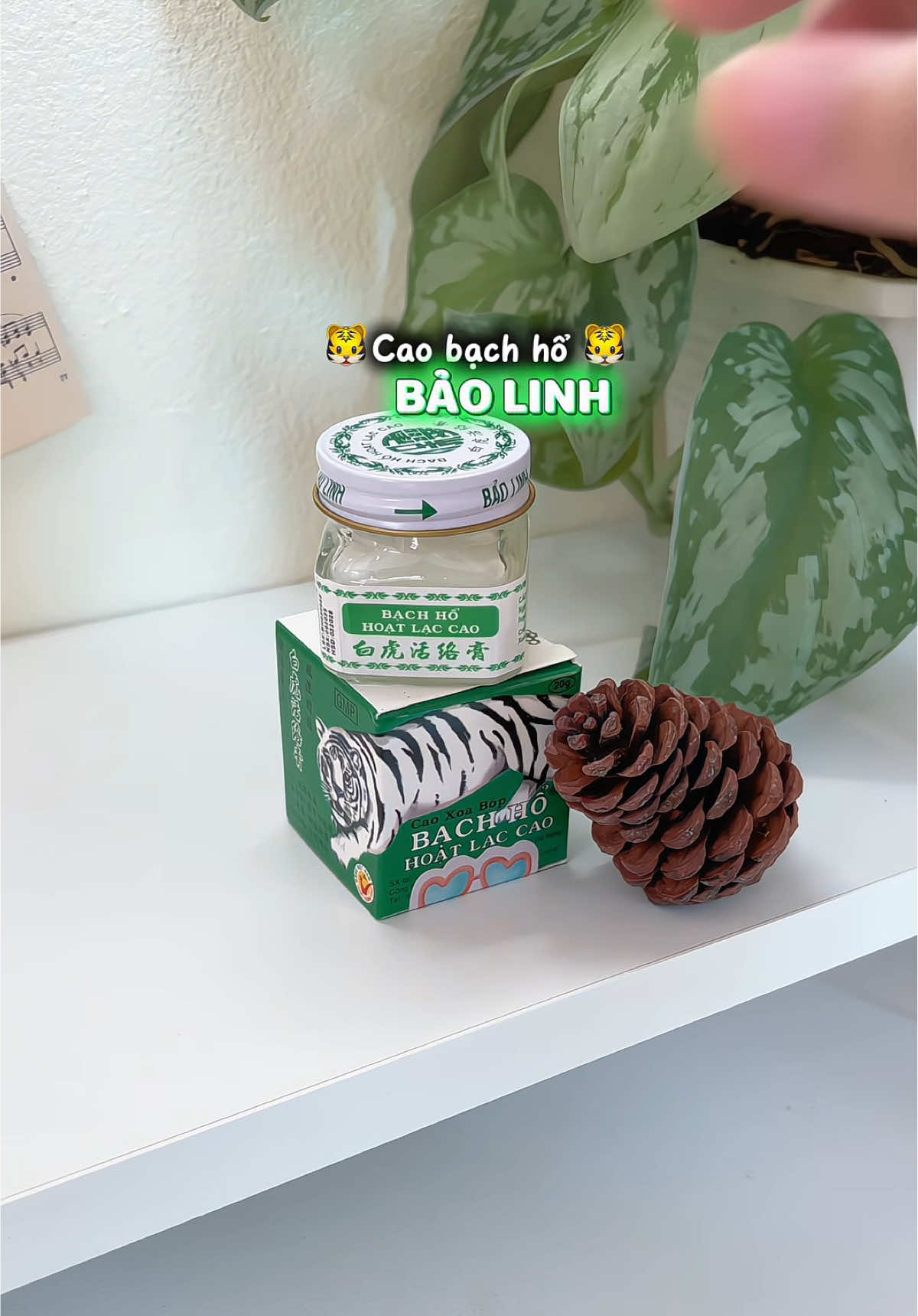 Cao xoa bóp Bạch hổ hoạt lạc cao của Đông nam dược Bảo Linh #caobachho #caoxoabop #caobachhohoatlaccao #unboxcunghip 