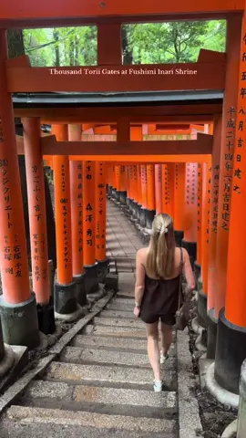 Some tips for visiting the Thousand Torii gates at the Fushimi Inari Shrine. So crazy there are so many. Go early, bring water, and keep going up because the crowds will die down!!! #kyotojapan #japantravel #japanrecommendation #toriigate 