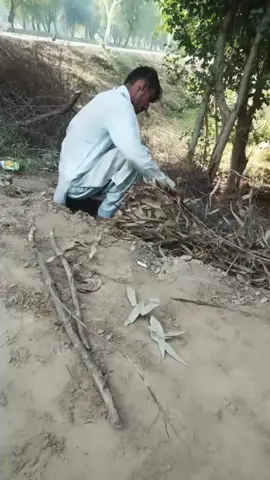 Good Night 💤🌙 😊 Sweet Dream 🌠🌠🌠🌠🌠🌠🌠 😢😢😢😢