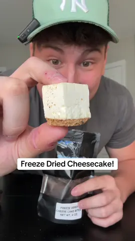 Freeze dried cheesecake #cheesecake #freezedried #candy #snacks #food 
