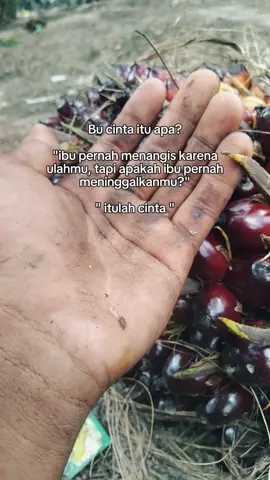 kudu kuat 