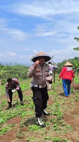 giat pemupukan Tanaman jagung #ketahananpangan #polsekpamaricab