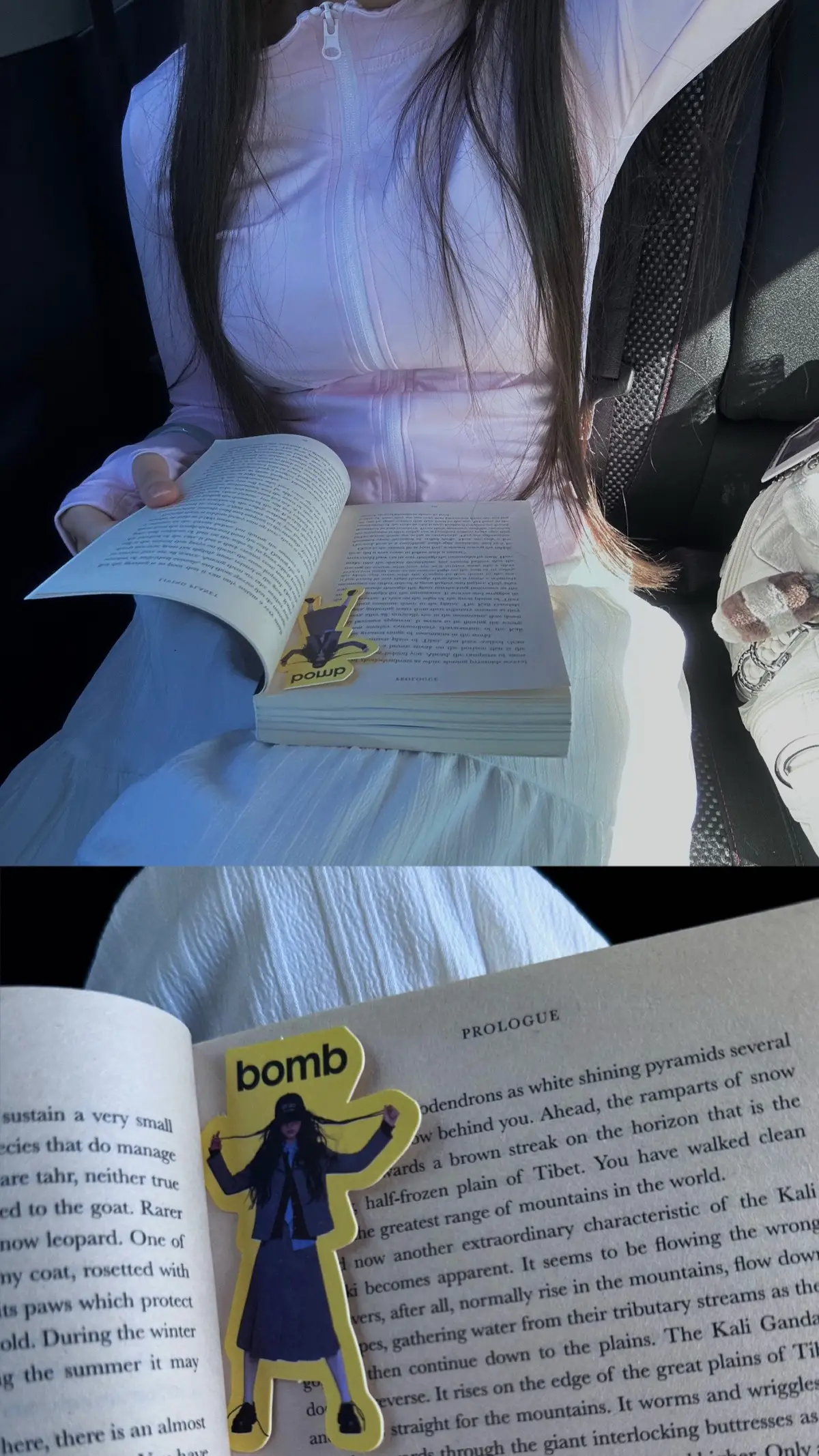 Photo dump of autumn so far.